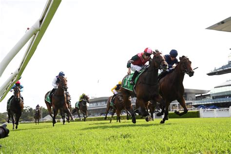 light fingers stakes|Light Fingers Stakes 2024 Tips & Betting .